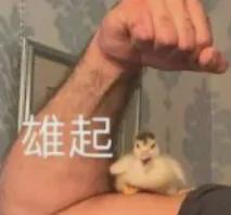 爵士舞教学视频
