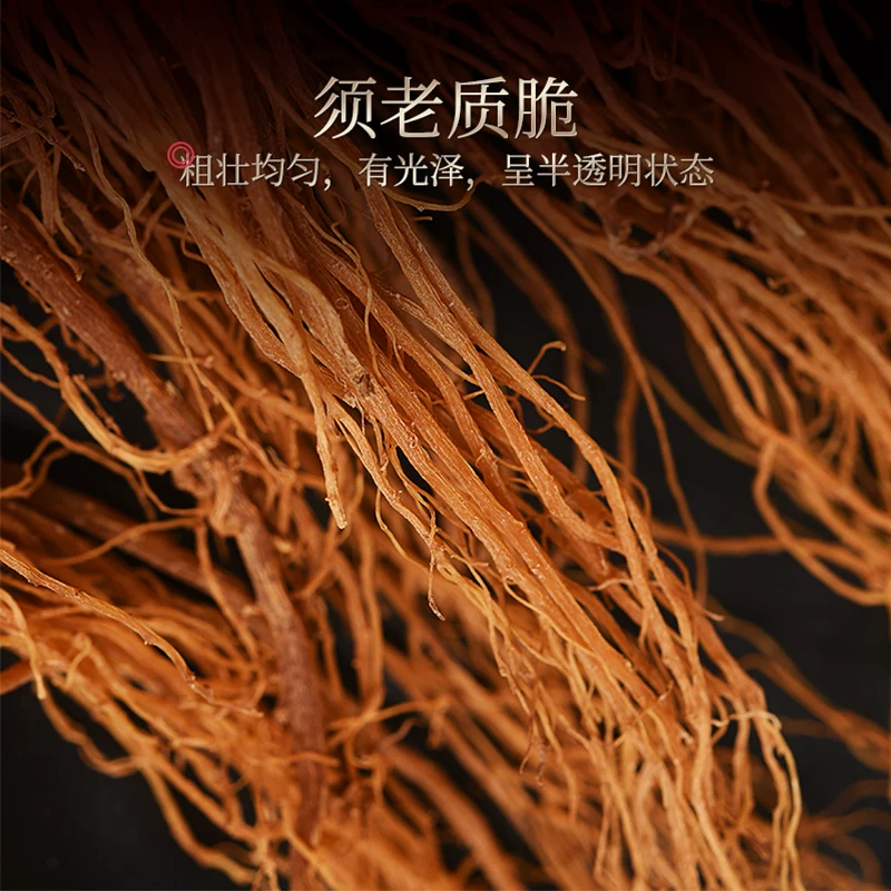 慢跑分解动作