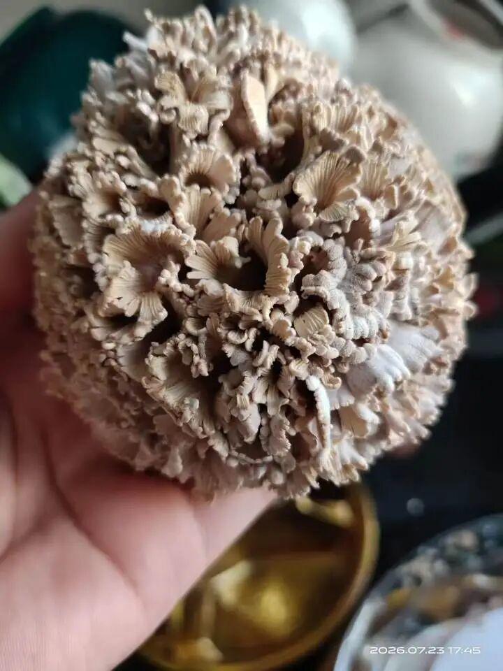 把你的车悄悄弄坏再修好 这其实是4S店的基本操作