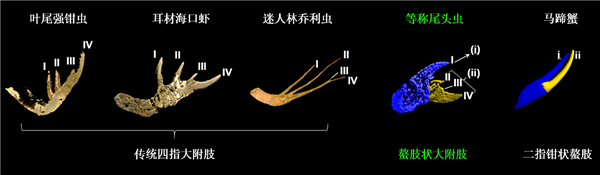 为什么现在的手机没有一英寸传感器了